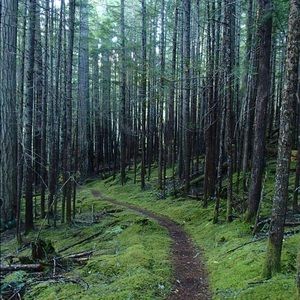 Meet your Posher, Derek